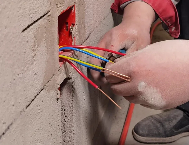 1622255585859710.jpg 640.webp (9).jpg